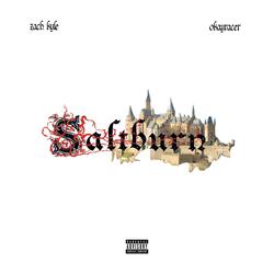 Saltburn (feat. Okayracer)