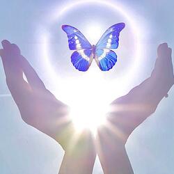 Schmetterling