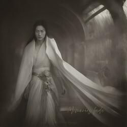 Memories fade (feat. Tian Zhang & Liang Lin)