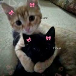 Desires (feat. Mowa Abi)