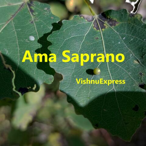Ama Saprano