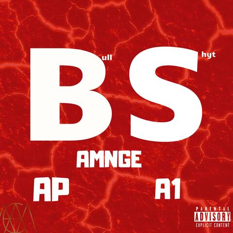 B.S. (feat. Amnge Ap)