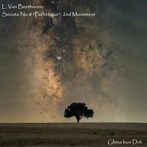 L. Van Beethoven : Sonata No.8 "Pathétique", 2nd Movement