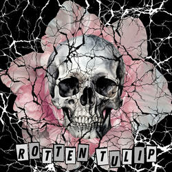Rotten Tulip