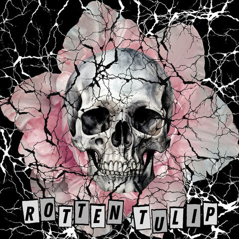 Rotten Tulip