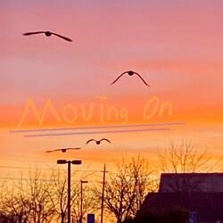 Moving On