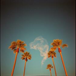 Cuban Smoke Dream