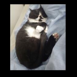 thought three (rainy day)