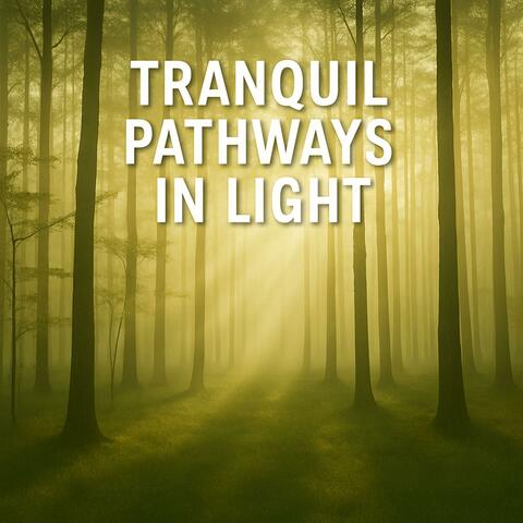 Tranquil Pathways in Light