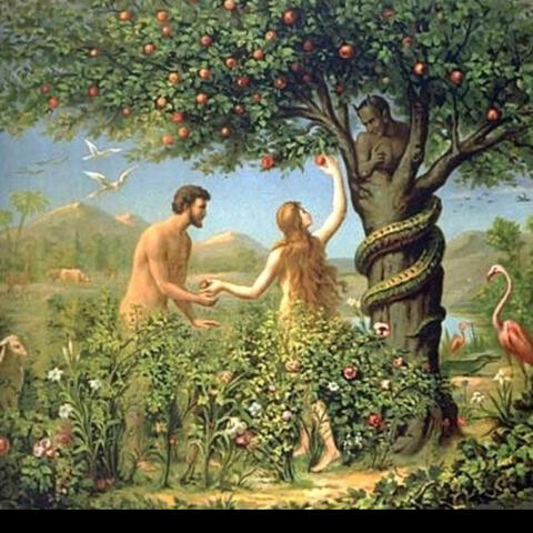 SEX IN HEAVEN