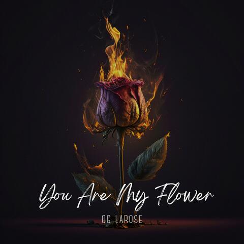 You Are My Flower