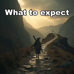 What to expect