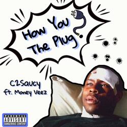 How You the Plug? (feat. Money Veez)