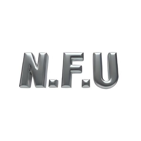 N.F.U (feat. oSoMori)