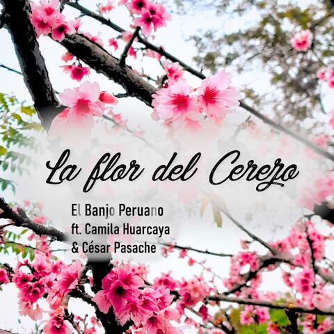 La flor del Cerezo