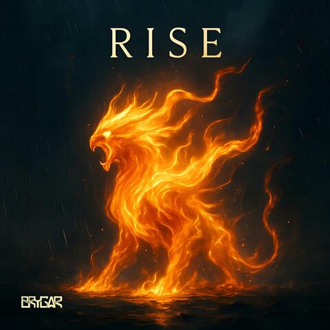 Rise