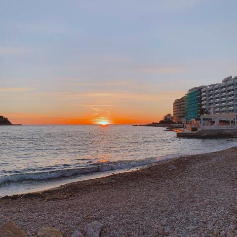 PALMA (2025 VERSION)