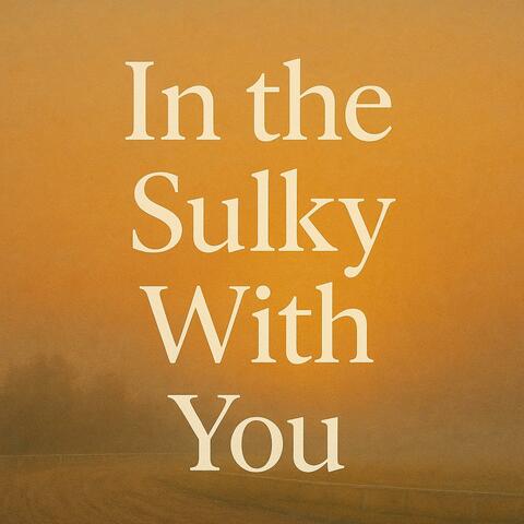 In the sulky with you