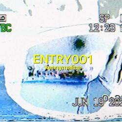 Entry001
