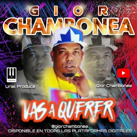 Vas a Querer