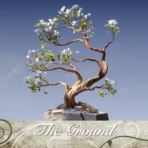 The Ground