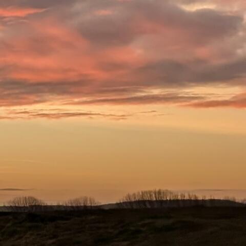 Never The Same Omelette Twice