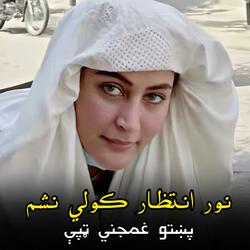 نور انتظار کولي نشم || پښتو غمجني ټپې || Nor entizar kawalay nashem ||