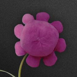 Purple Octopus (Ottotuned)