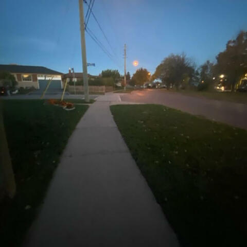 are you there?
