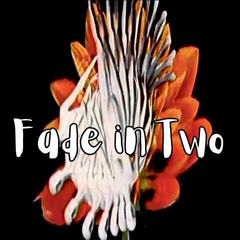 Fade in Two