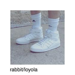 loyola