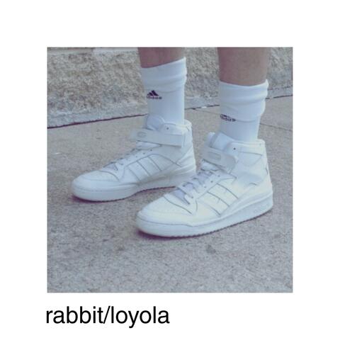 rabbit/loyola