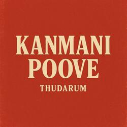 Kanmani Poove (Electronic Instrumental mix)