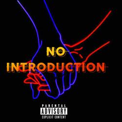 NO INTRODUCTION