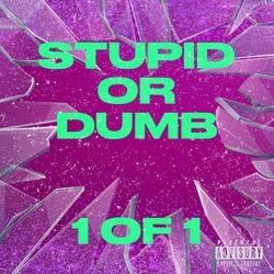 Stupid Or Dumb
