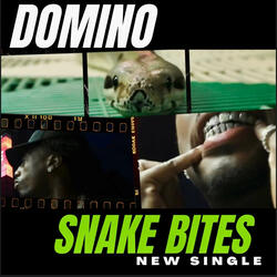 Snake Bites