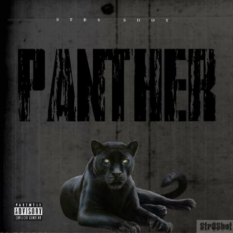 Panther