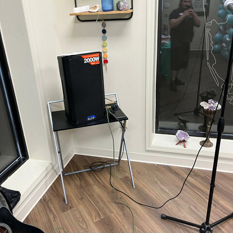 Dinosaurs are dead (Acoustic demo)