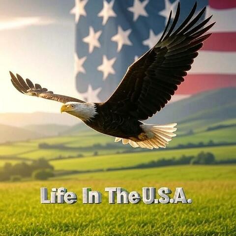 Life In The U.S.A.