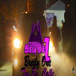 Toy En Calle