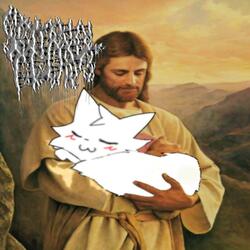 smoke all day n drink all night