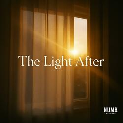 The Light After