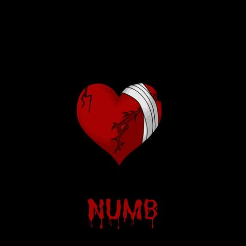 NUMB
