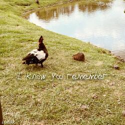 i know you remember