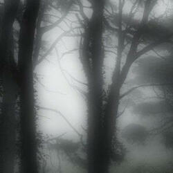 mist