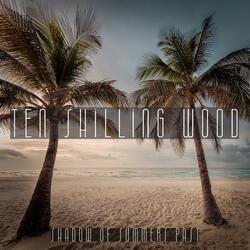 Shadow Of Summers Past