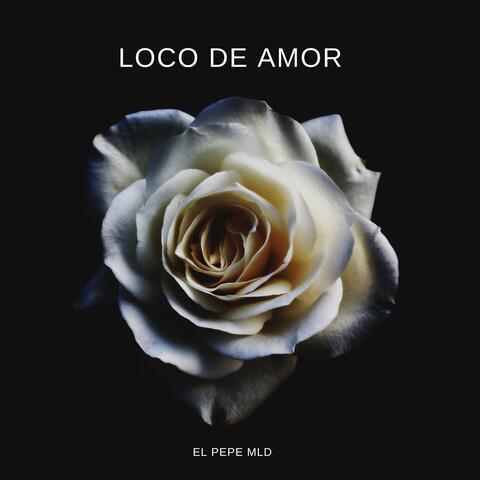 loco de amor