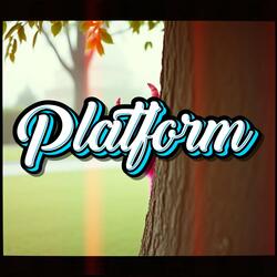 Platform