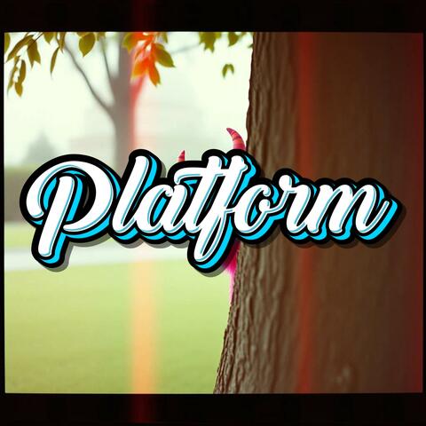 Platform