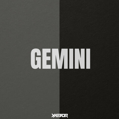 GEMINI